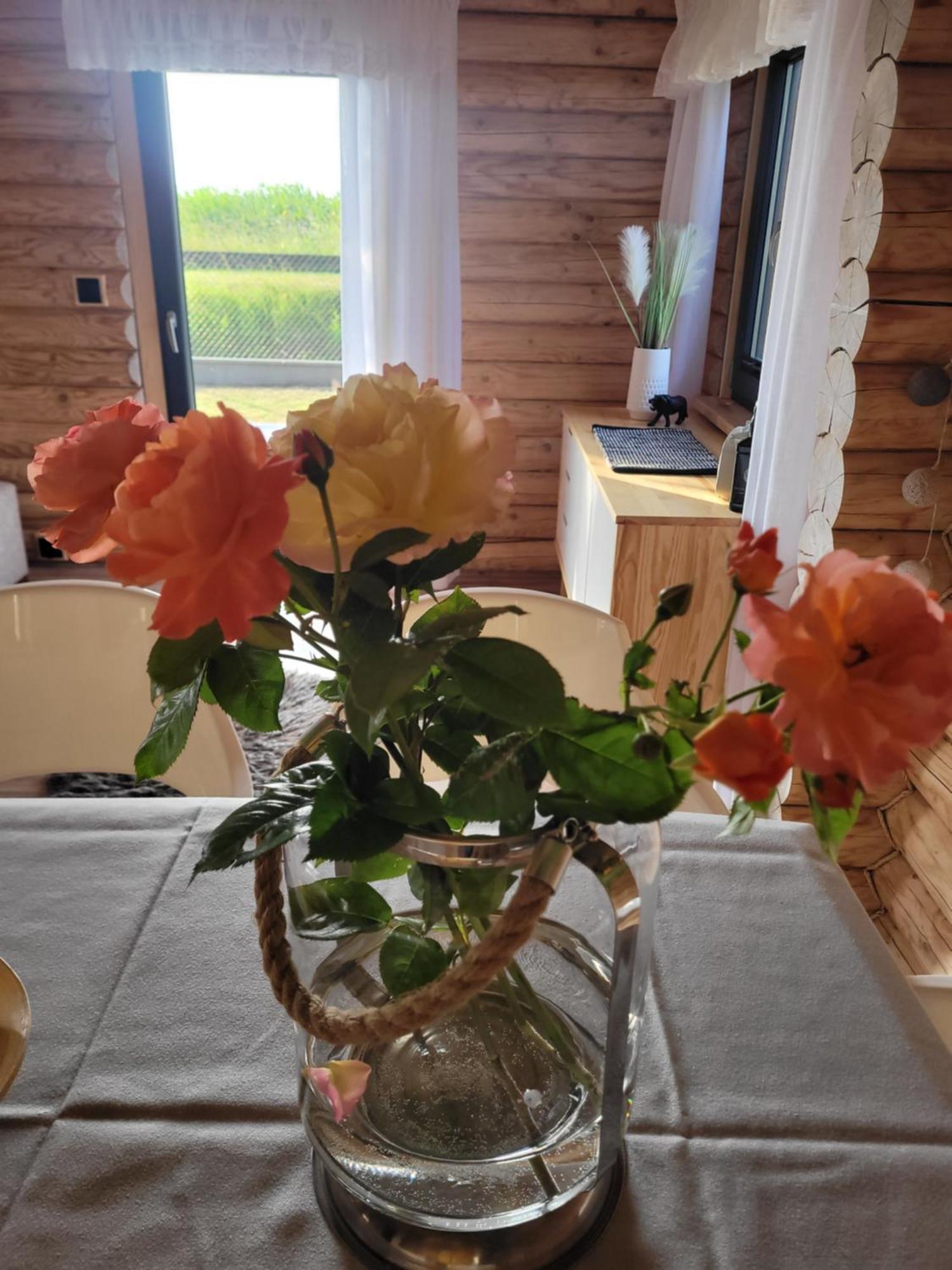 Slowly Glamping Osada Nad Woda Łazy 外观 照片
