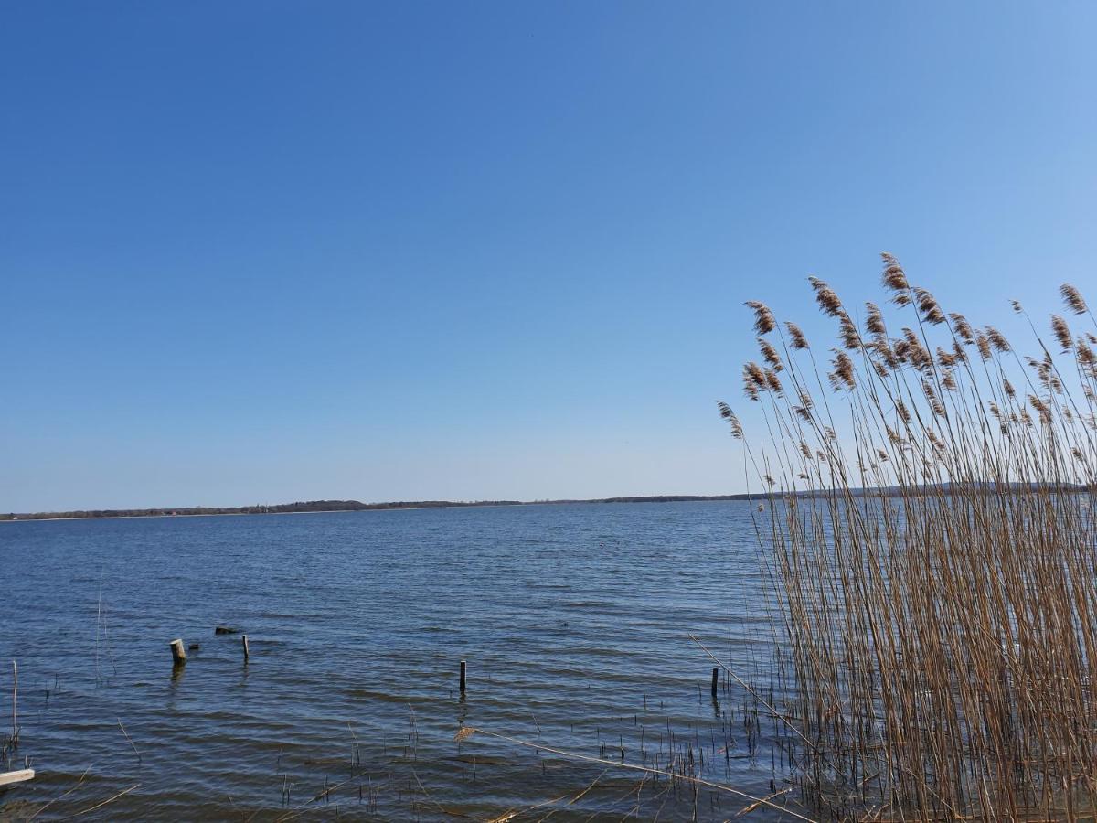 Slowly Glamping Osada Nad Woda Łazy 外观 照片